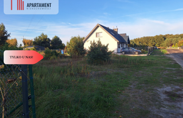 Działka Dębina spokojna okolica