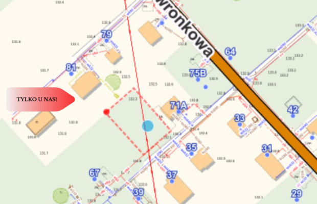 Działka Dębina spokojna okolica