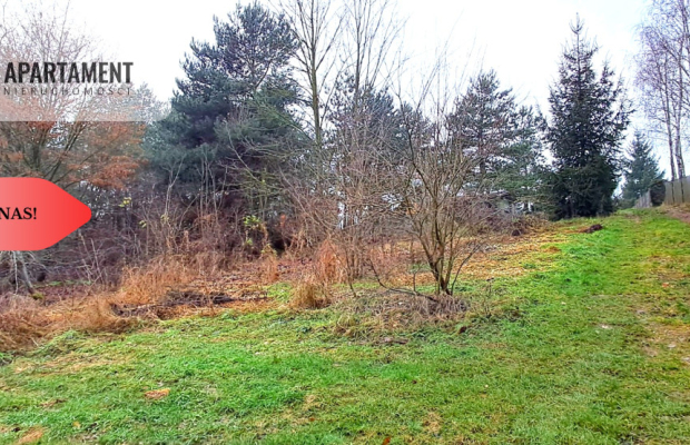 Niewielka działka w okolicy lasu i jeziora