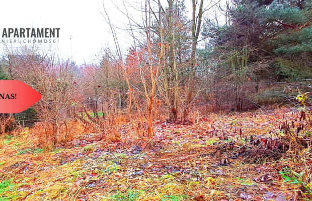 Niewielka działka w okolicy lasu i jeziora