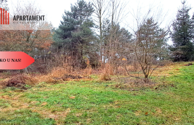 Niewielka działka w okolicy lasu i jeziora