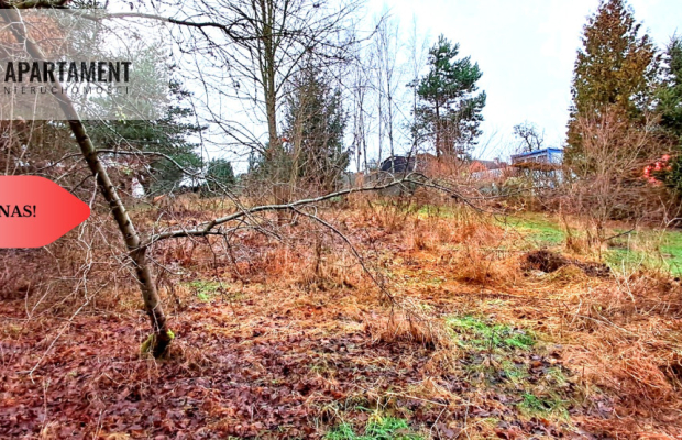 Niewielka działka w okolicy lasu i jeziora