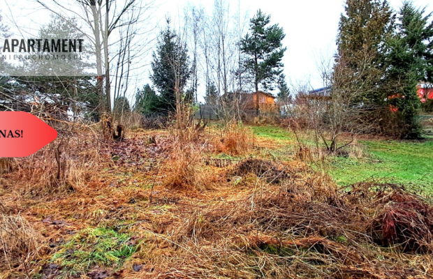 Niewielka działka w okolicy lasu i jeziora