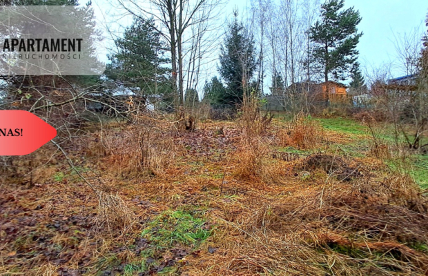 Niewielka działka w okolicy lasu i jeziora