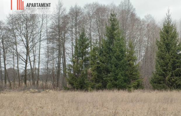 Działka MN z dostępem do jeziora/Bory Tucholskie