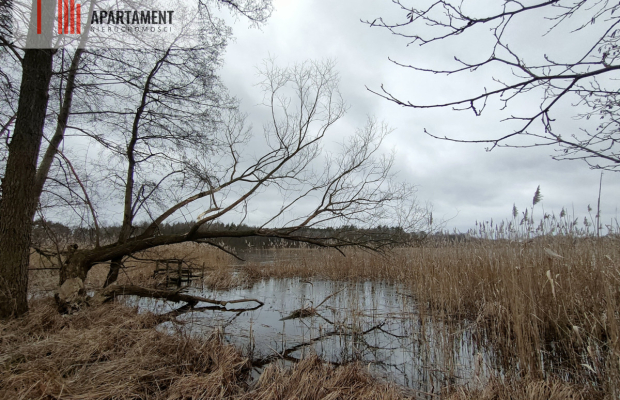 Działka MN z dostępem do jeziora/Bory Tucholskie