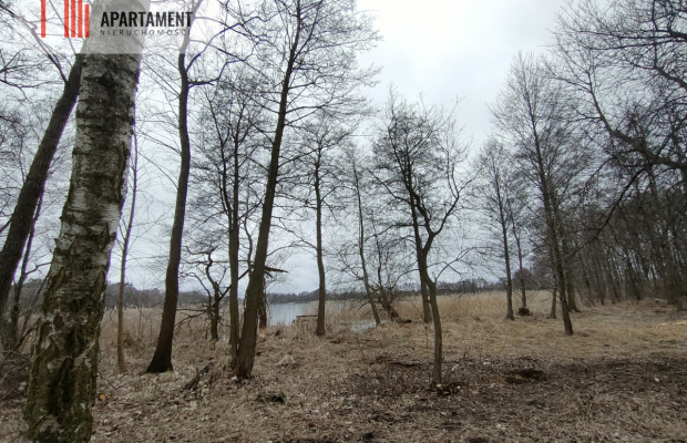 Działka MN z dostępem do jeziora/Bory Tucholskie