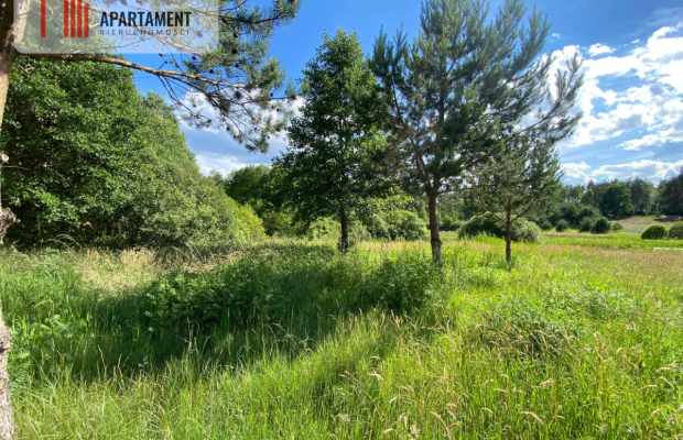 Atrakcyjna Działka Rolna w Nowej Kiszewie!