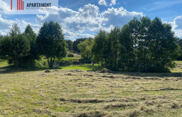 Atrakcyjna Działka Rolna w Nowej Kiszewie!