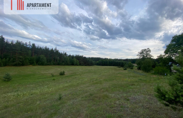 Atrakcyjna Działka Rolna w Nowej Kiszewie!