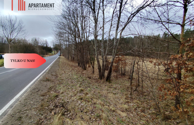 Tylko u Nas! Duże działki z warunkami zabudowy!