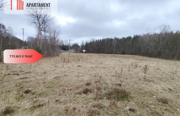Tylko u Nas! Duże działki z warunkami zabudowy!