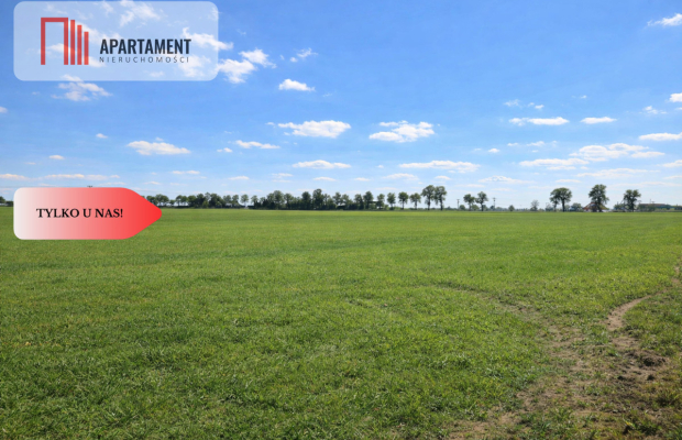 Przestronne działki na sprzedaż, blisko Torunia