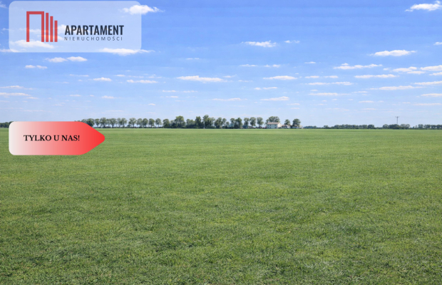 Przestronne działki na sprzedaż, blisko Torunia