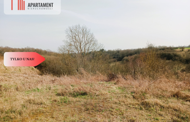 Działka budowlana w wyjątkowo  malowniczej okolicy