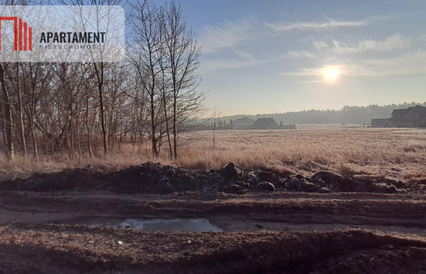 Działki pod hale magazynowe, produkcje, usługi.