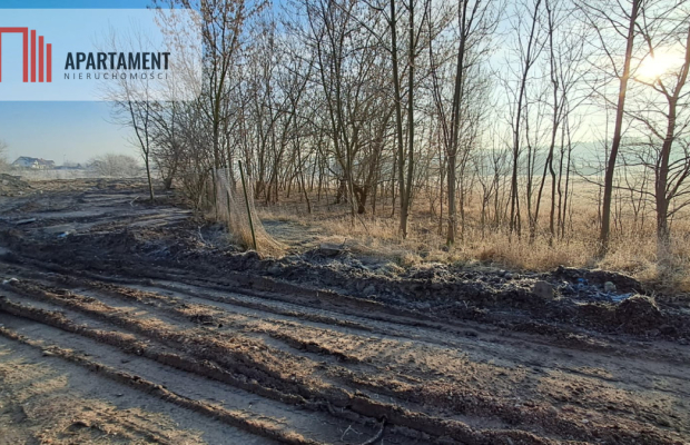 Działki pod hale magazynowe, produkcje, usługi.