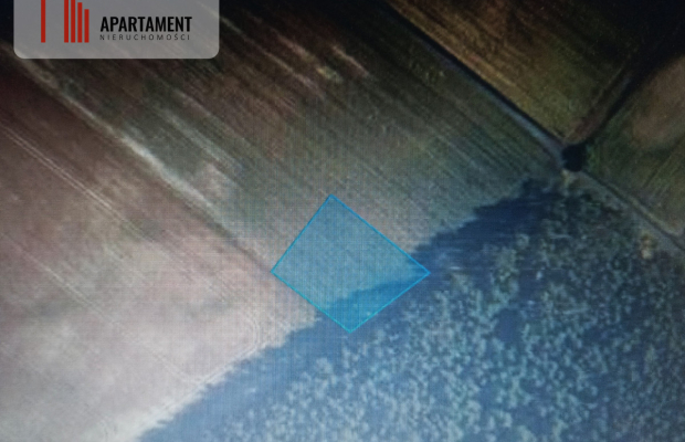 Piękna spokojna okolica ze ścianą lasu!!!