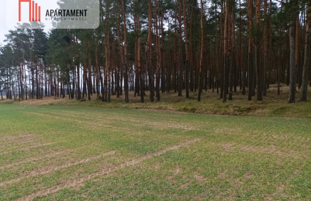 Piękna spokojna okolica ze ścianą lasu!!!