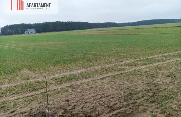 Piękna spokojna okolica ze ścianą lasu!!!