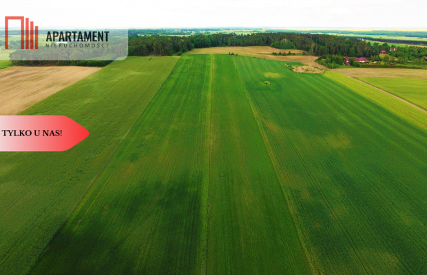 * Działki w spokojnej okolicy  1300mkw Szubin