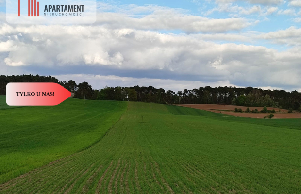 * Działki w spokojnej okolicy  1300mkw Szubin