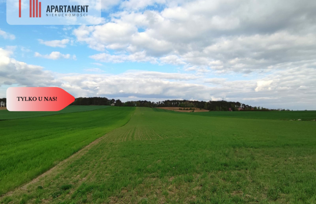 * Działki w spokojnej okolicy  1300mkw Szubin