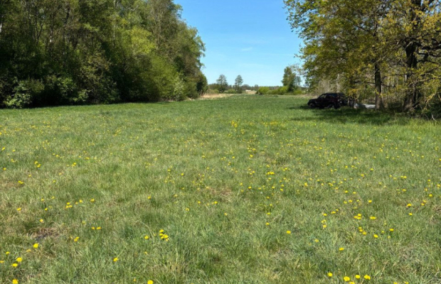 Wyjątkowa działka 34 ary k. Iławy