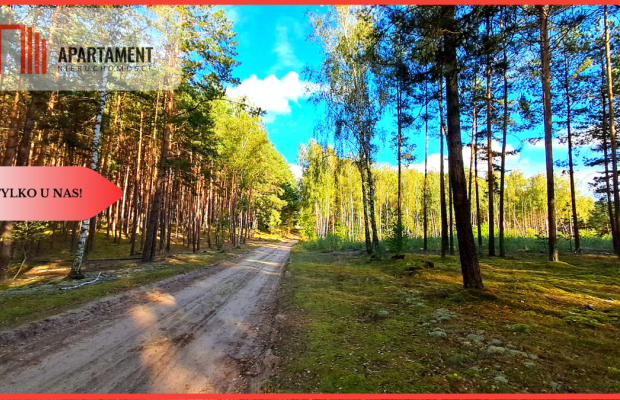 Duża działka rekreacyjna blisko jeziora!!!