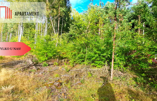 Duża działka rekreacyjna blisko jeziora!!!