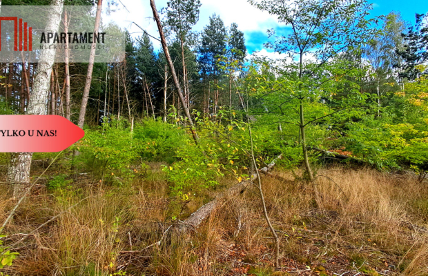 Duża działka rekreacyjna blisko jeziora!!!