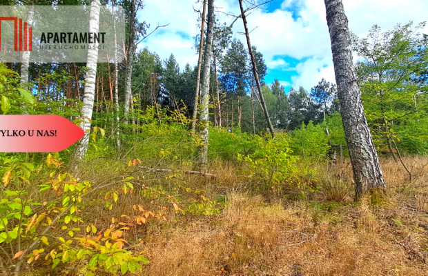 Duża działka rekreacyjna blisko jeziora!!!