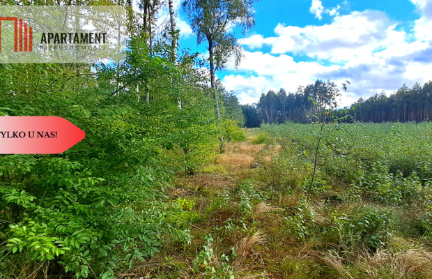 Duża działka rekreacyjna blisko jeziora!!!