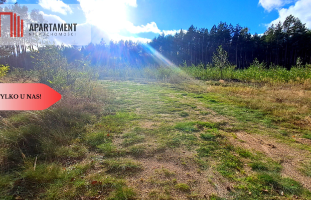 Duża działka rekreacyjna blisko jeziora!!!