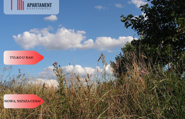 Osówka Kolonia - działka 674 mkw, tanio!