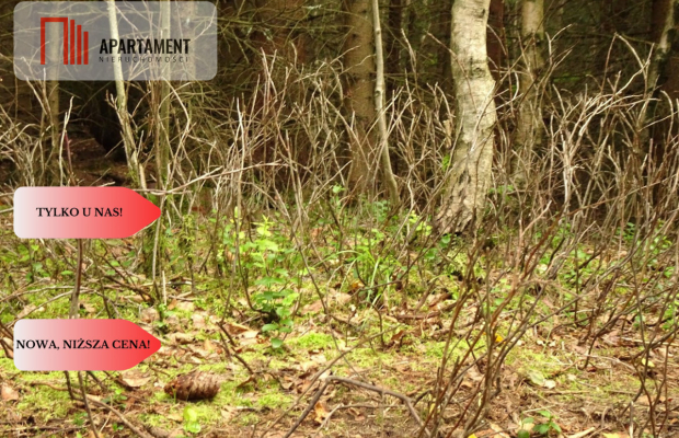 Osówka Kolonia - działka 674 mkw, tanio!