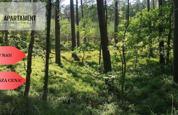 Osówka Kolonia - działka 674 mkw, tanio!