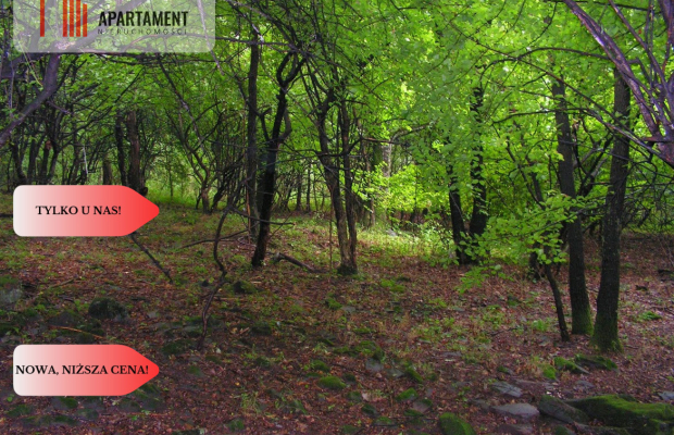 Osówka Kolonia - działka 674 mkw, tanio!