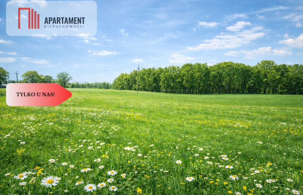 Na sprzedaż działka rolna 5 ha