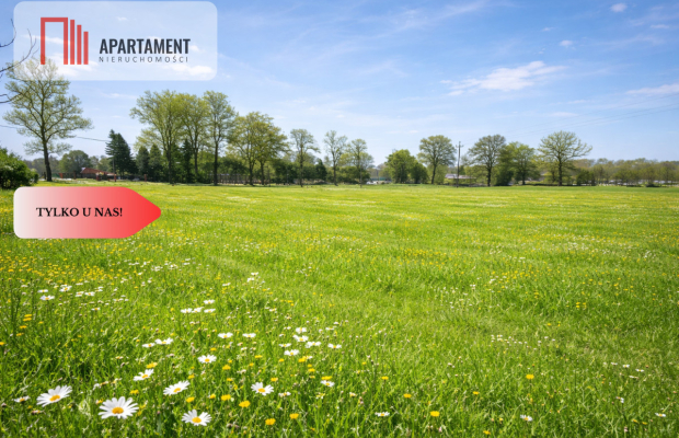 Na sprzedaż działka rolna 5 ha