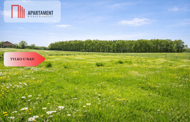 Na sprzedaż działka rolna 5 ha