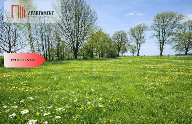 Na sprzedaż działka rolna 5 ha