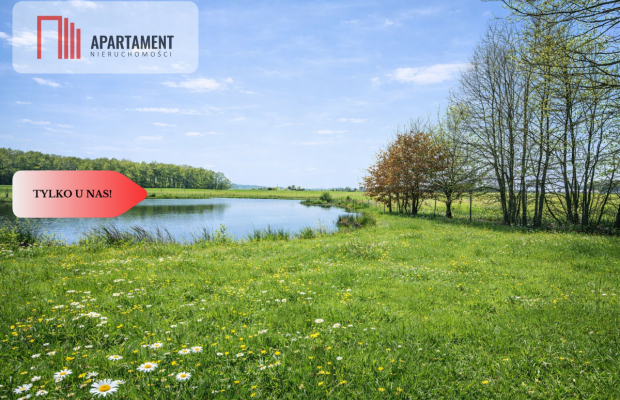 Na sprzedaż działka rolna 5 ha