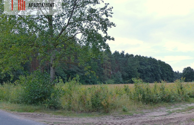 Działki z war. zabudowy pod siedlisko - Małomin