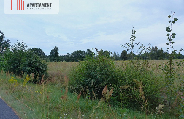 Działki z war. zabudowy pod siedlisko - Małomin