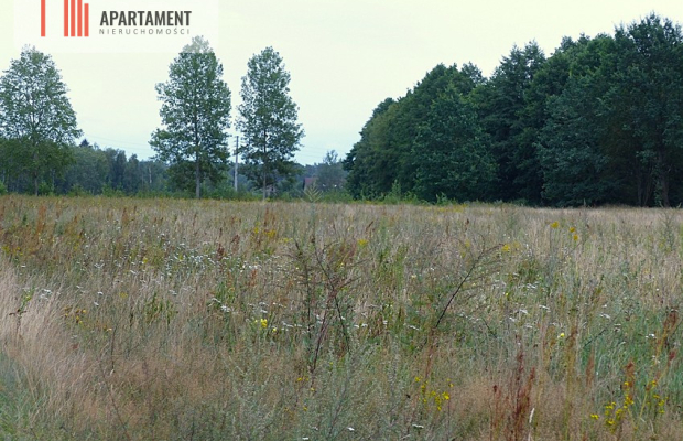 Działki z war. zabudowy pod siedlisko - Małomin