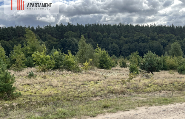 Teren, las, rzeki, hodowla ryb, żwirownia