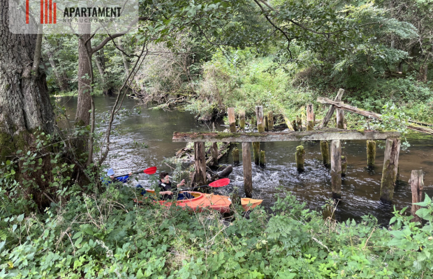 Teren, las, rzeki, hodowla ryb, żwirownia