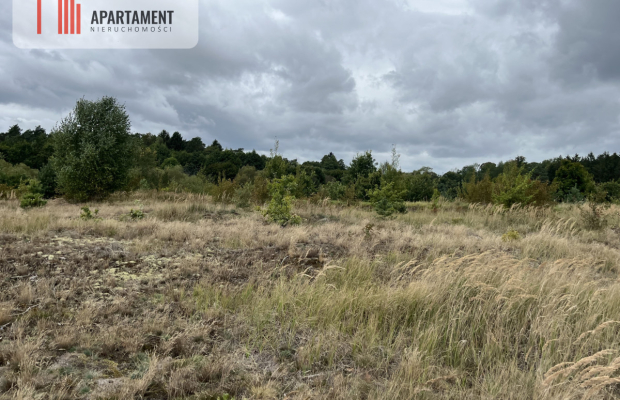 Teren, las, rzeki, hodowla ryb, żwirownia