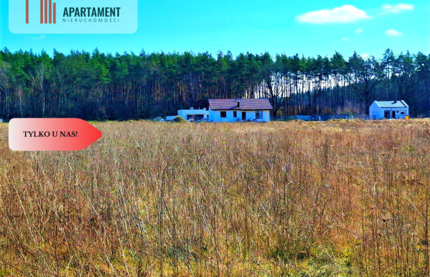 Wałdowo Królewskie 1000 m2 las cisza spokój